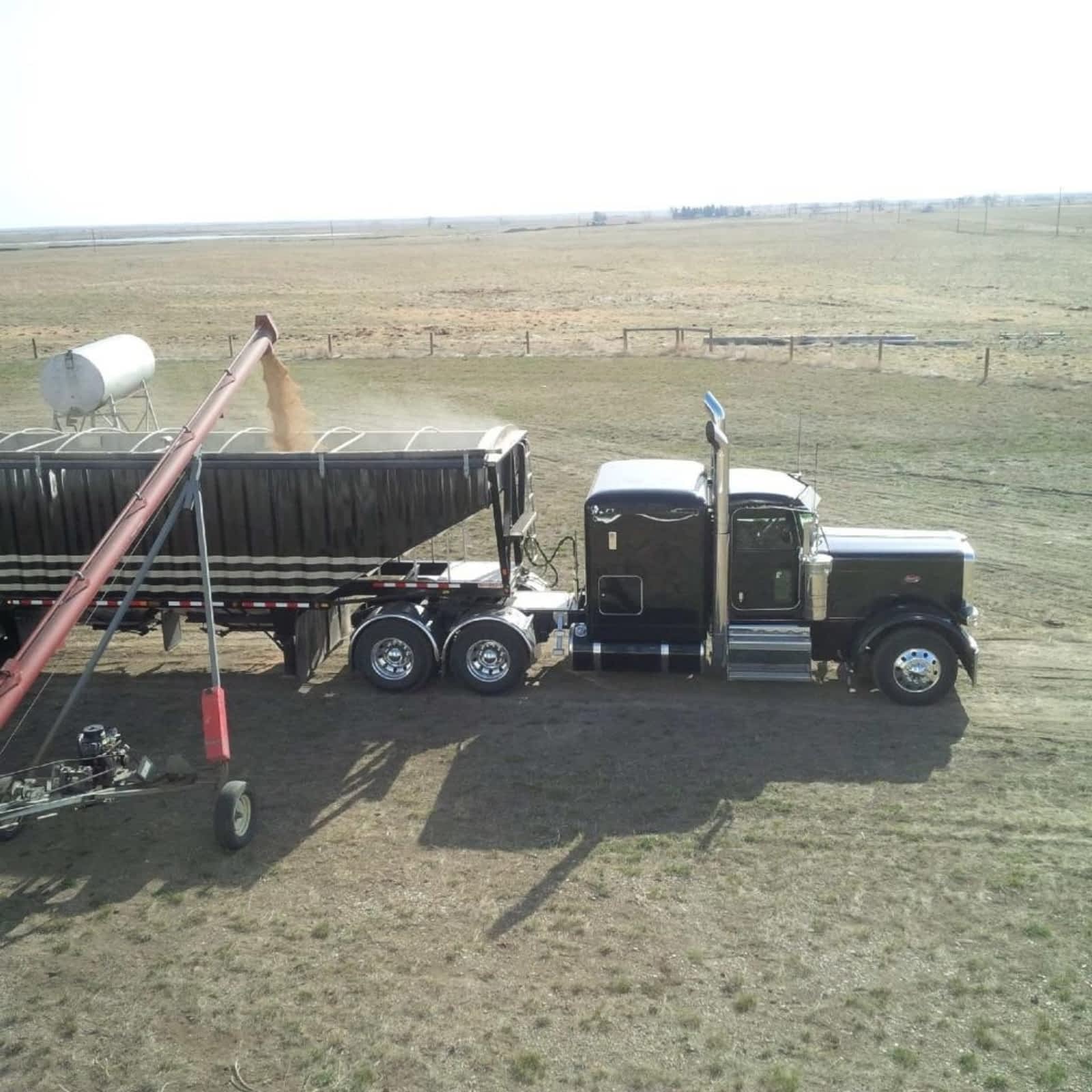 Photo credit: yellowpages.ca