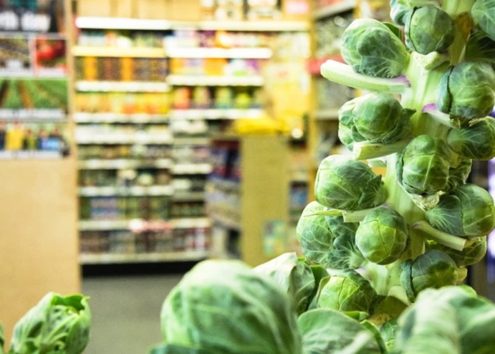 Photo credit: yellowpages.ca