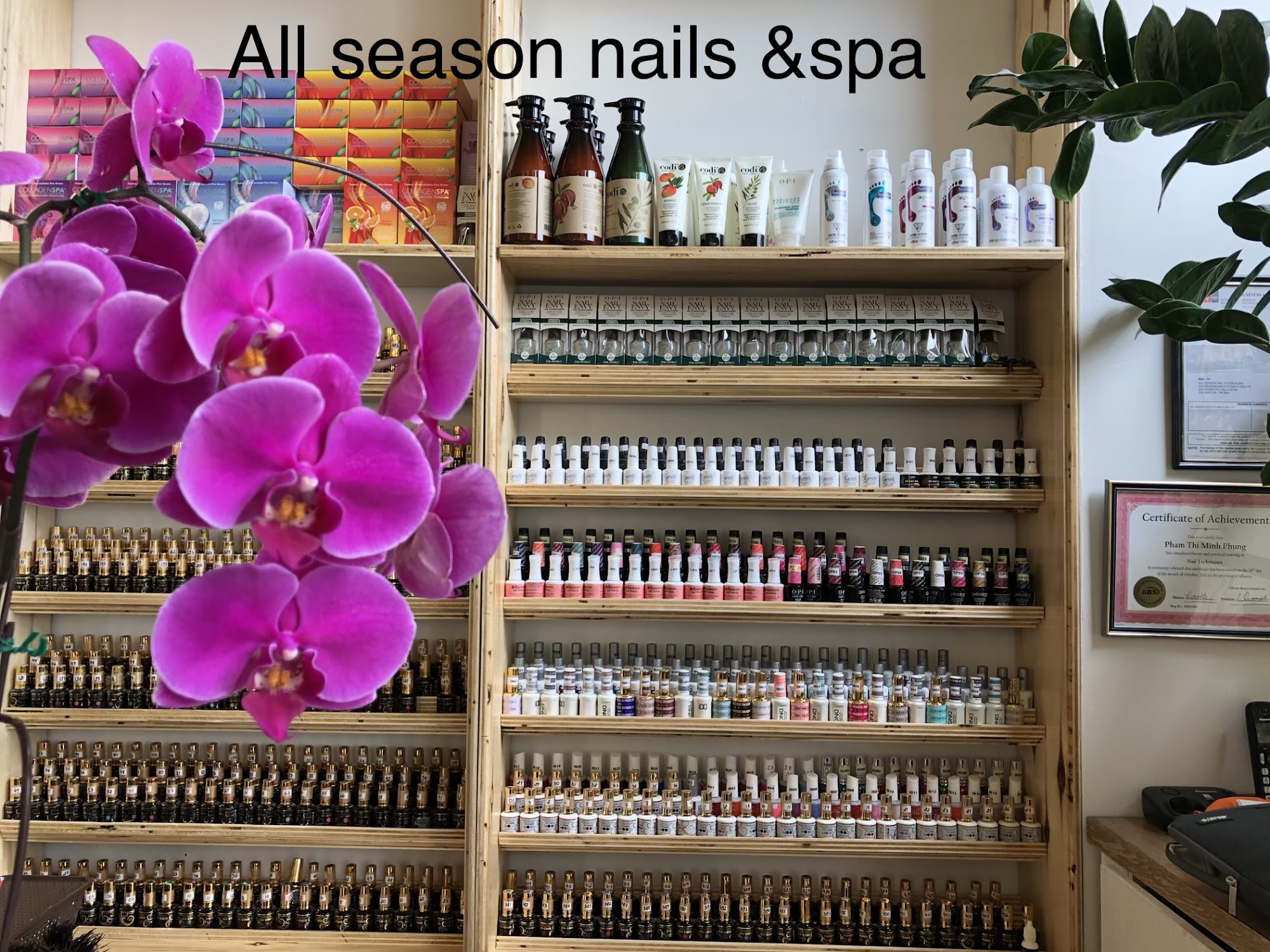 All Seasons Nails & Spa