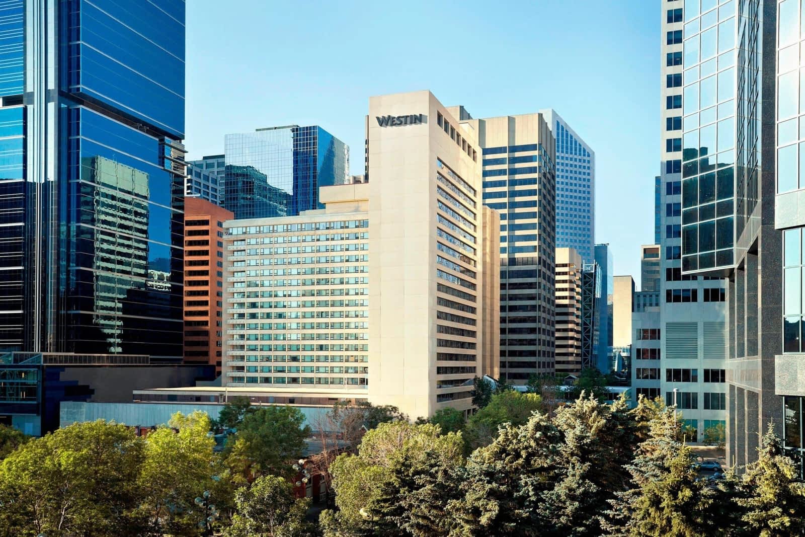 Photo credit: yellowpages.ca
