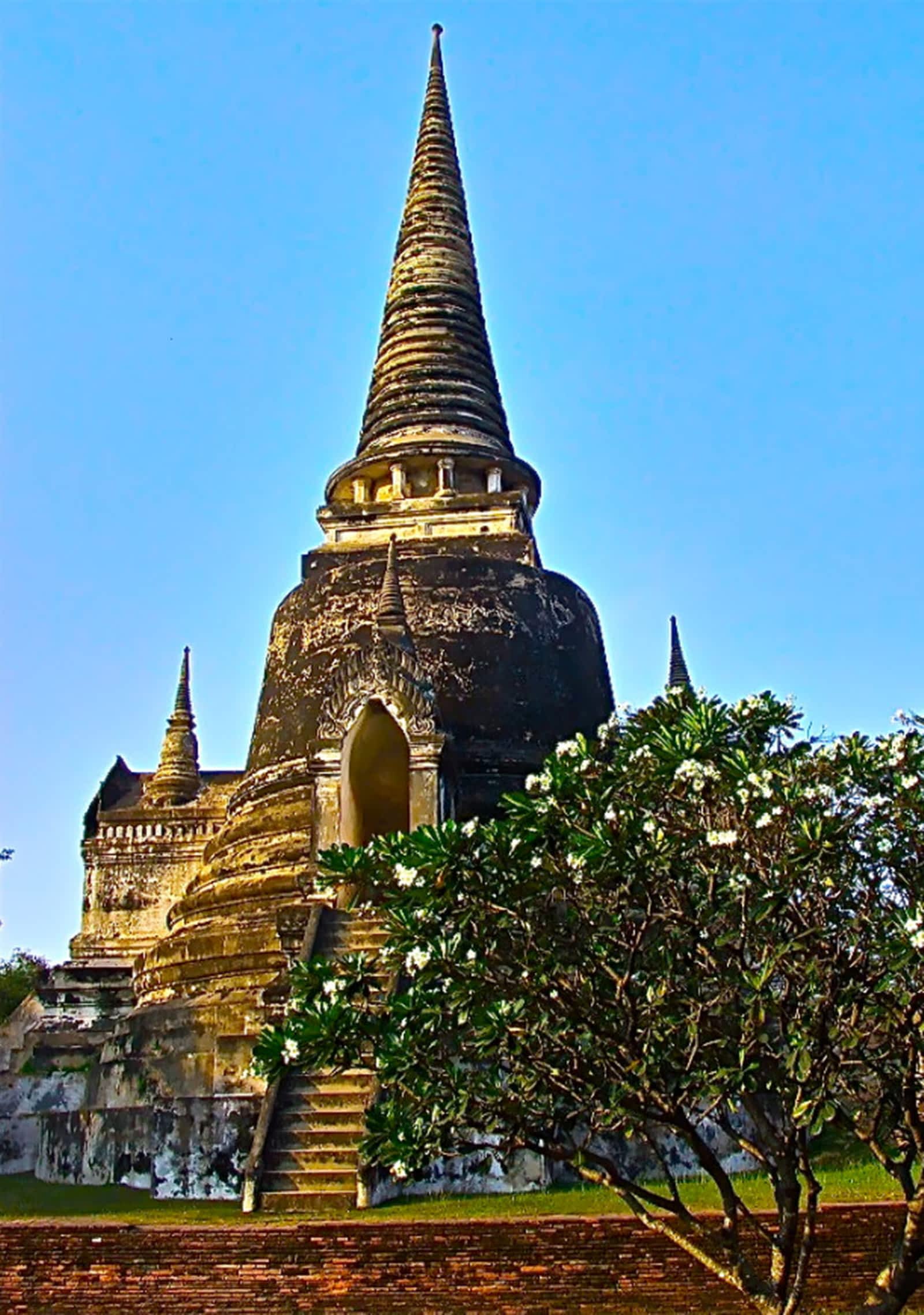 Photo credit: yellowpages.ca