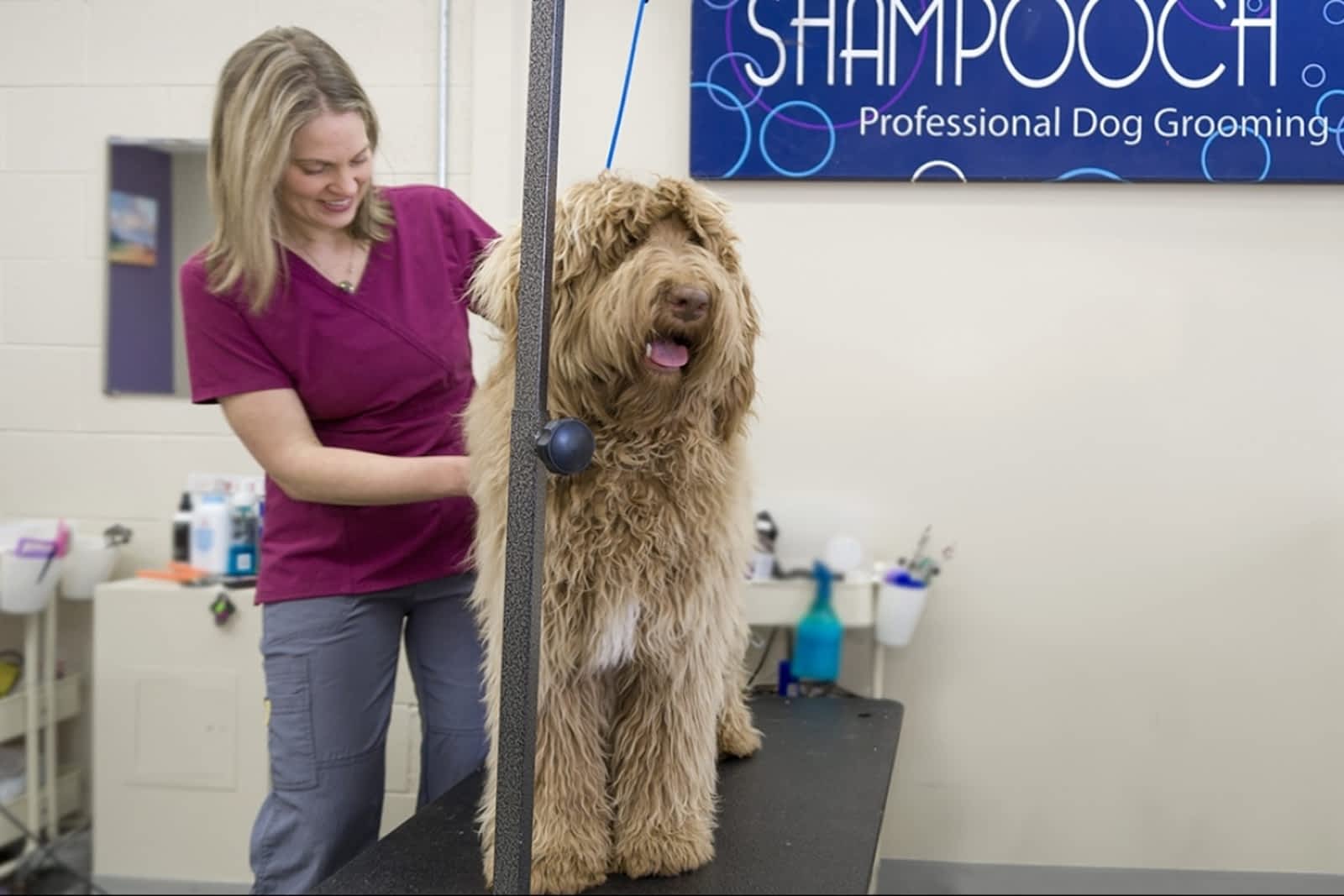 Photo credit: yellowpages.ca