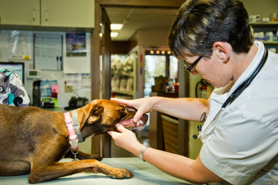 Willow Park Animal Clinic