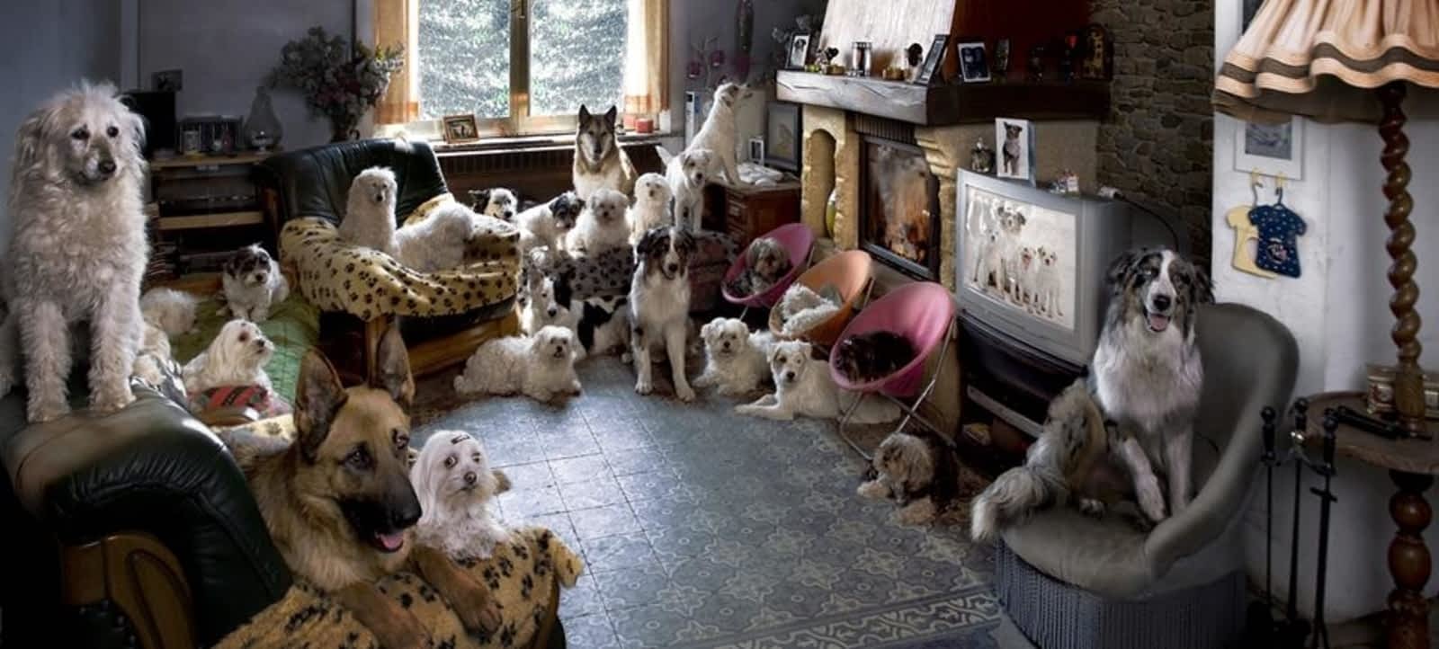 Photo credit: yellowpages.ca