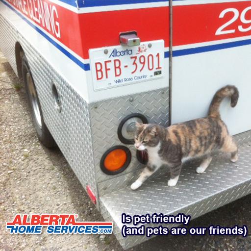 Photo credit: homestars