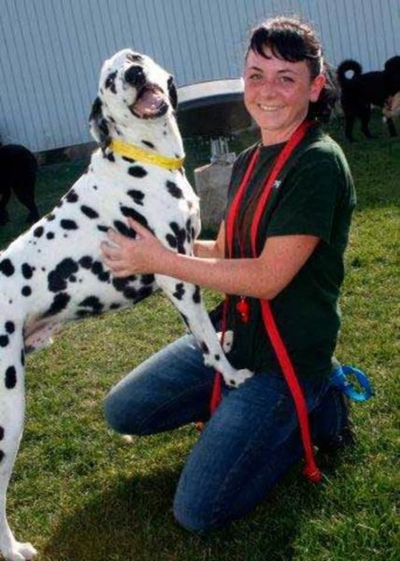 Photo credit: yellowpages.ca
