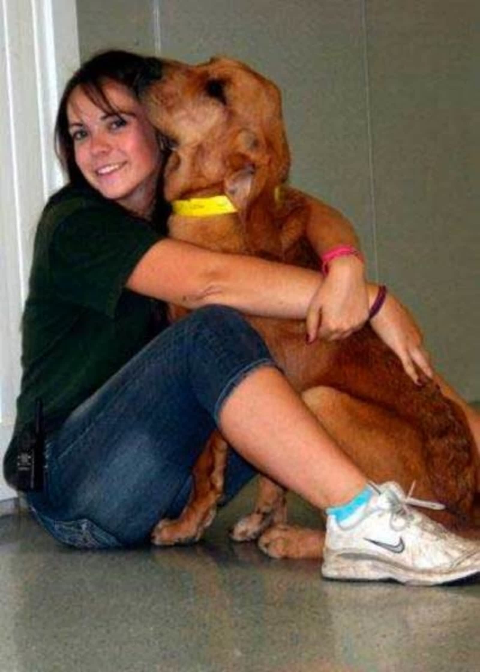 Photo credit: yellowpages.ca