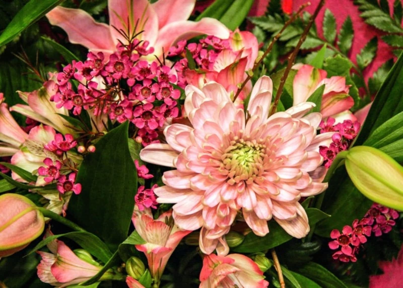 Photo credit: yellowpages.ca