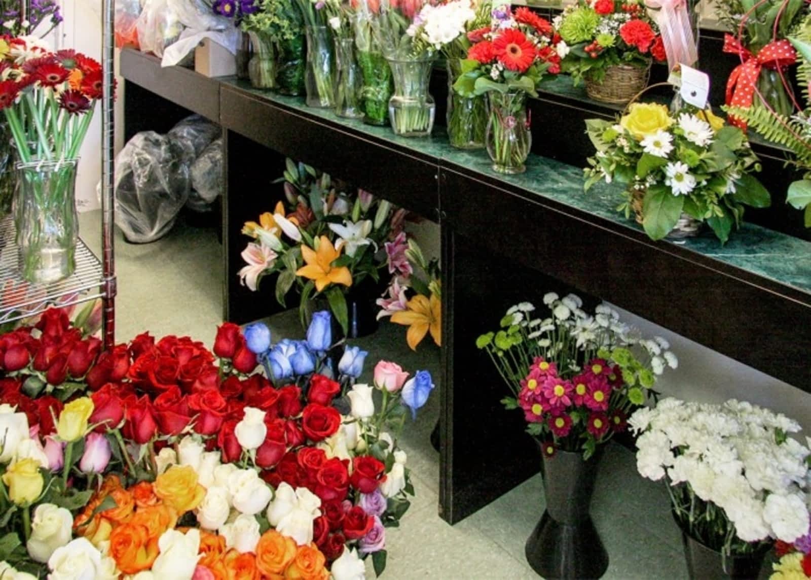 Photo credit: yellowpages.ca