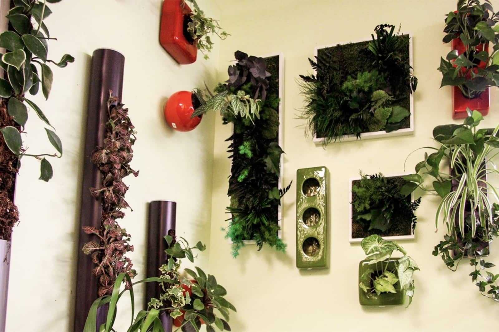 Photo credit: yellowpages.ca