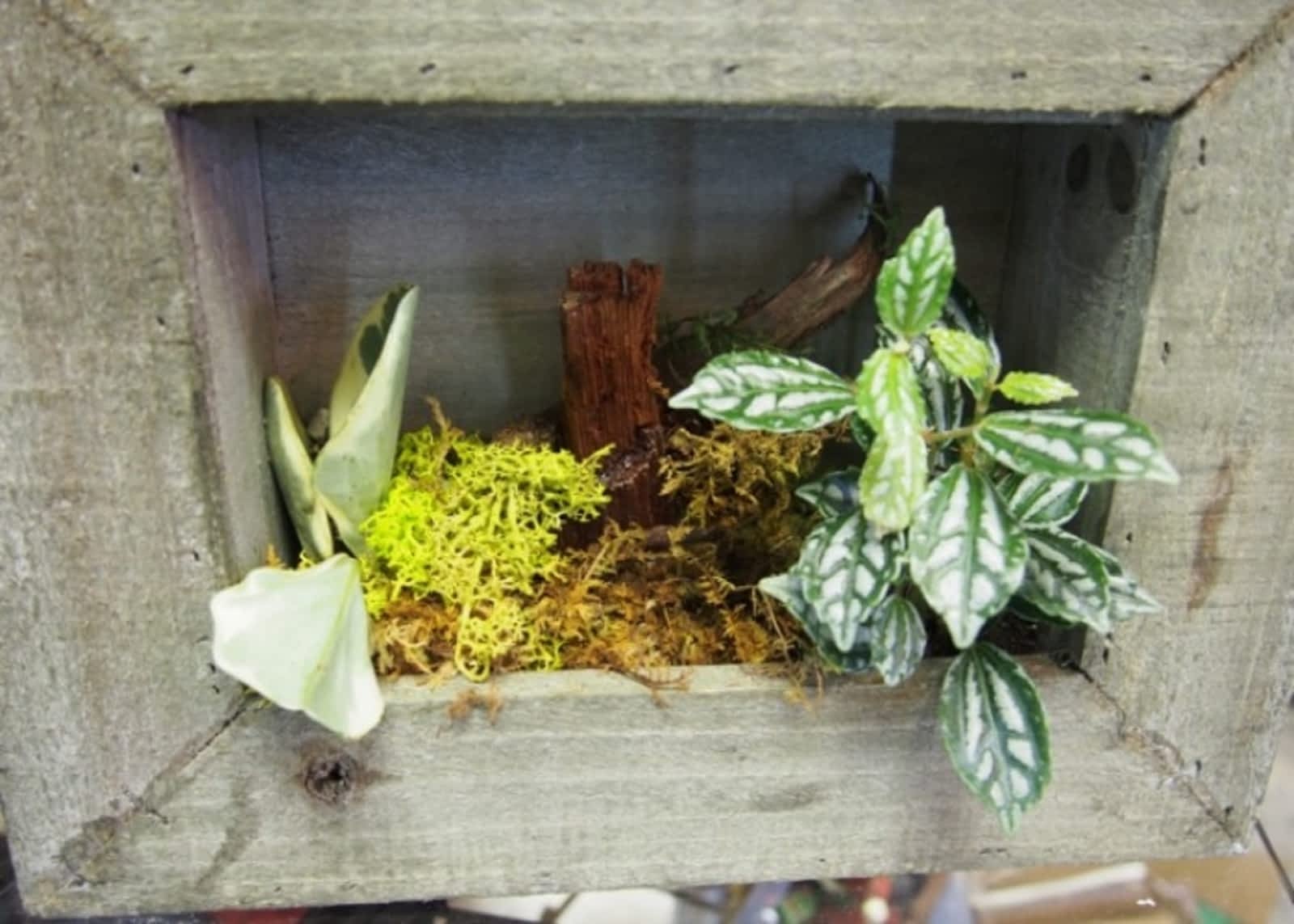 Photo credit: yellowpages.ca