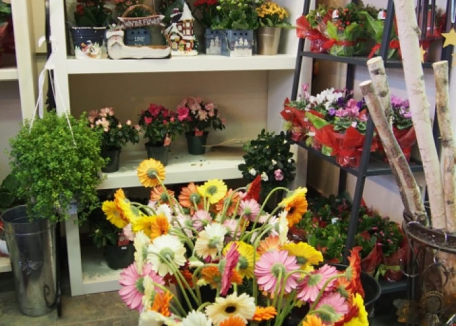 Photo credit: yellowpages.ca
