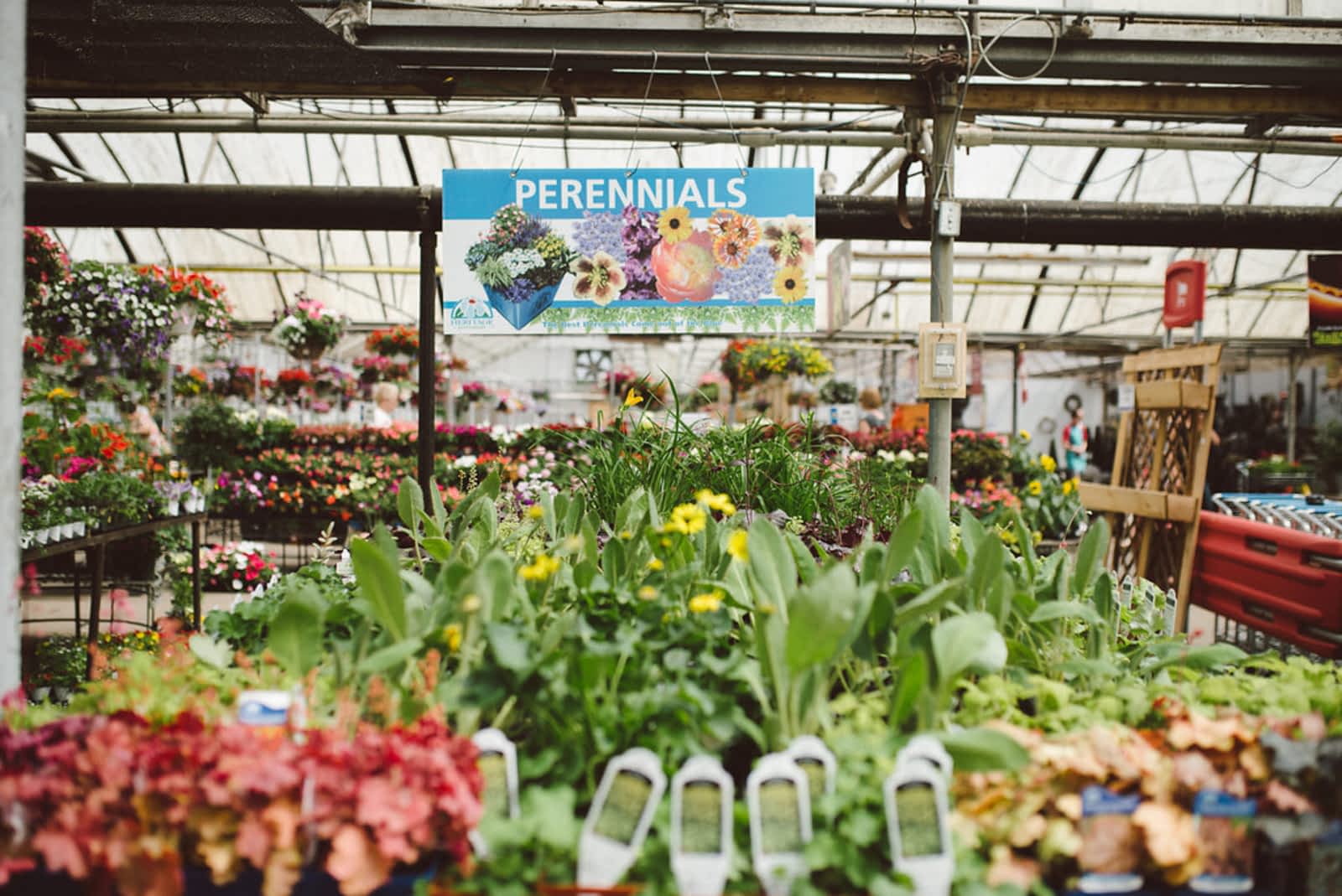 Photo credit: yellowpages.ca