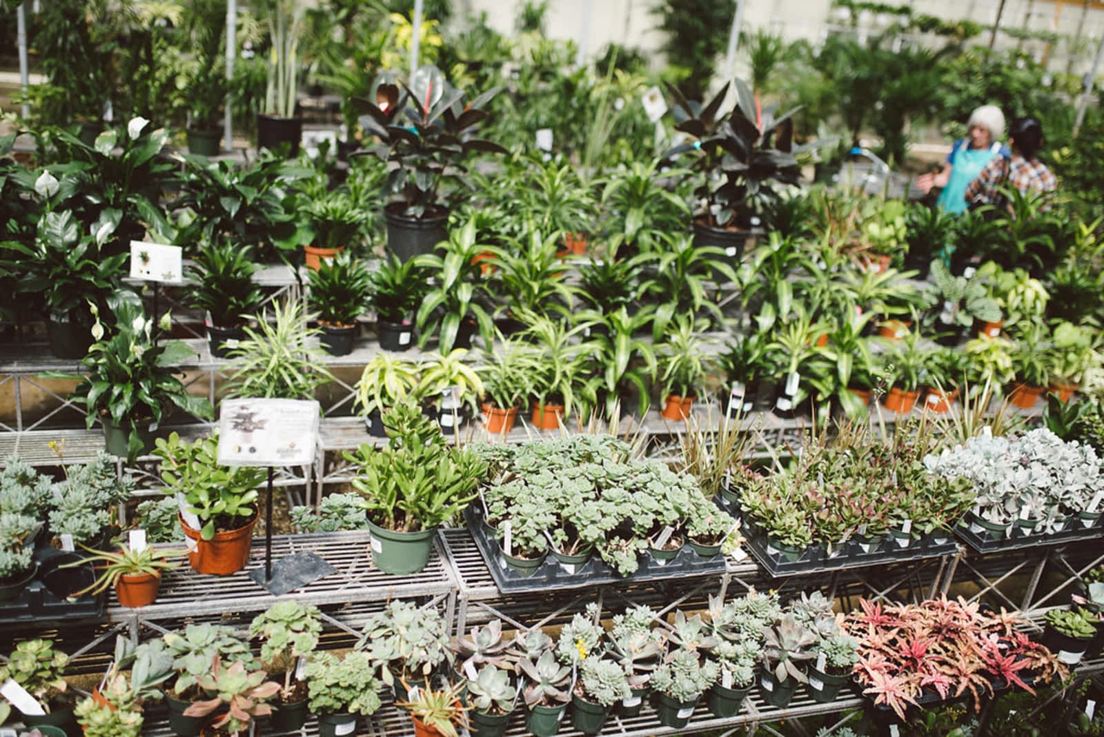 Photo credit: yellowpages.ca