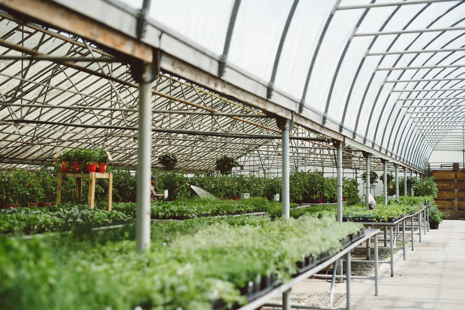 Photo credit: yellowpages.ca