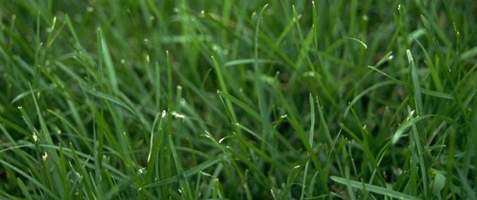 Photo credit: homestars