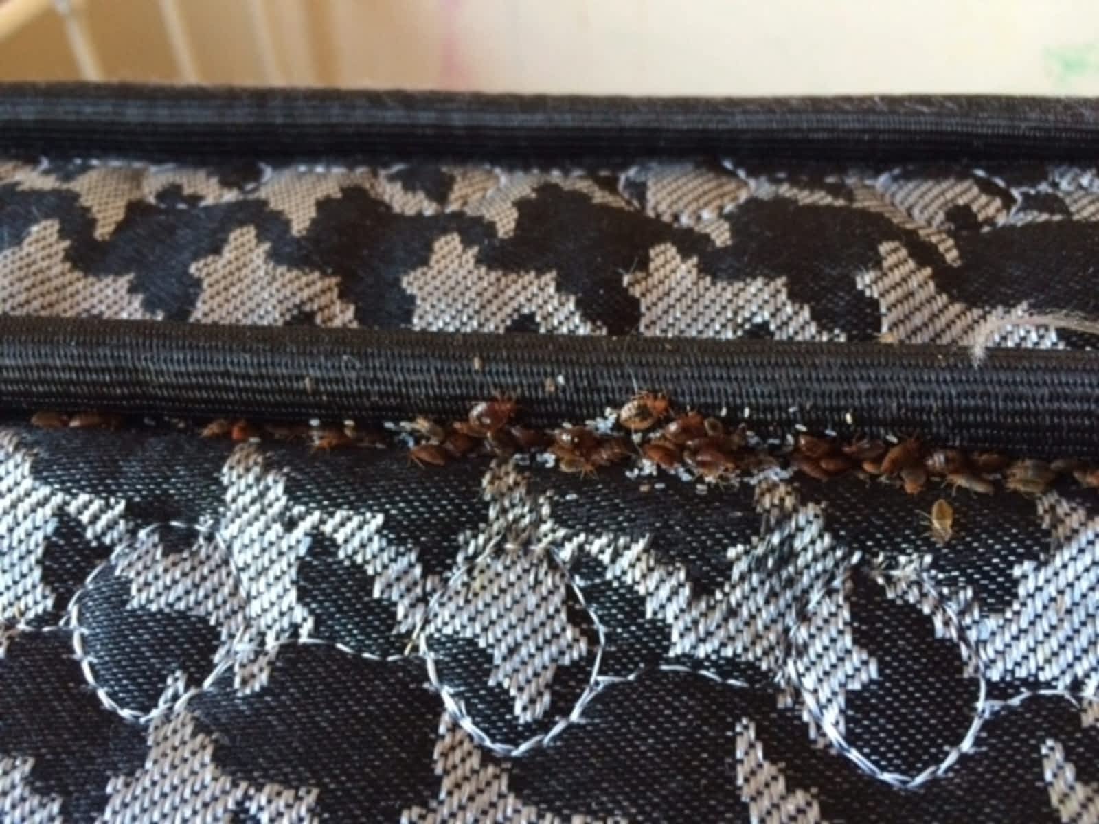 Photo credit: yellowpages.ca