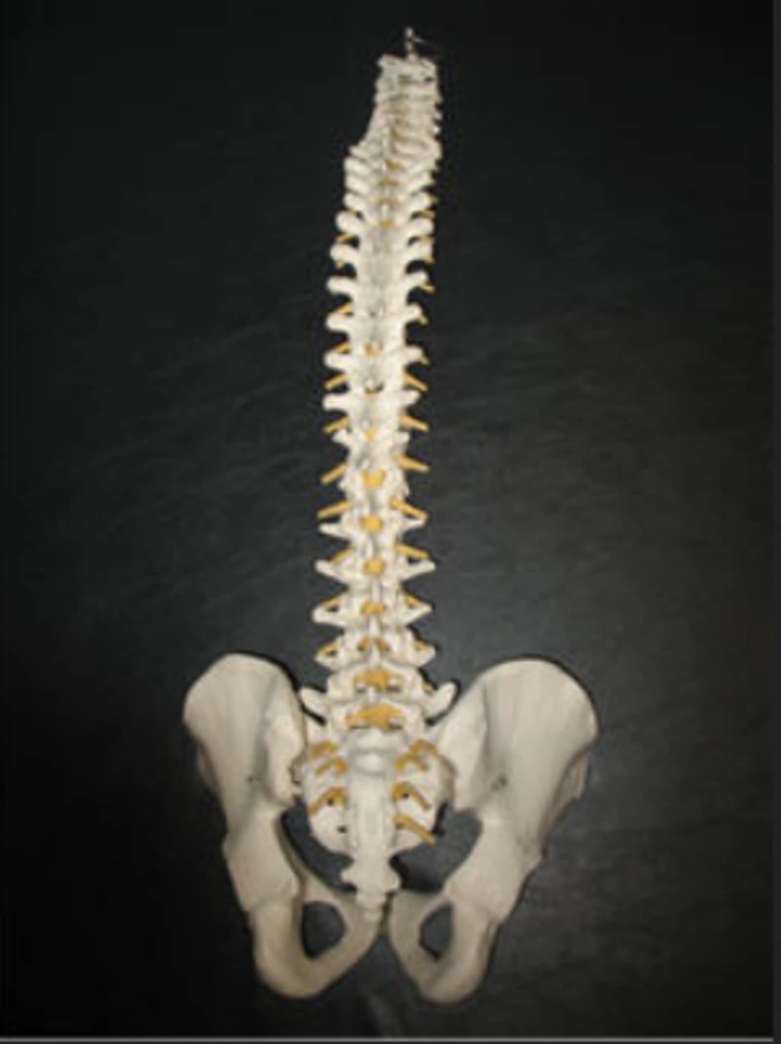 Photo credit: yellowpages.ca