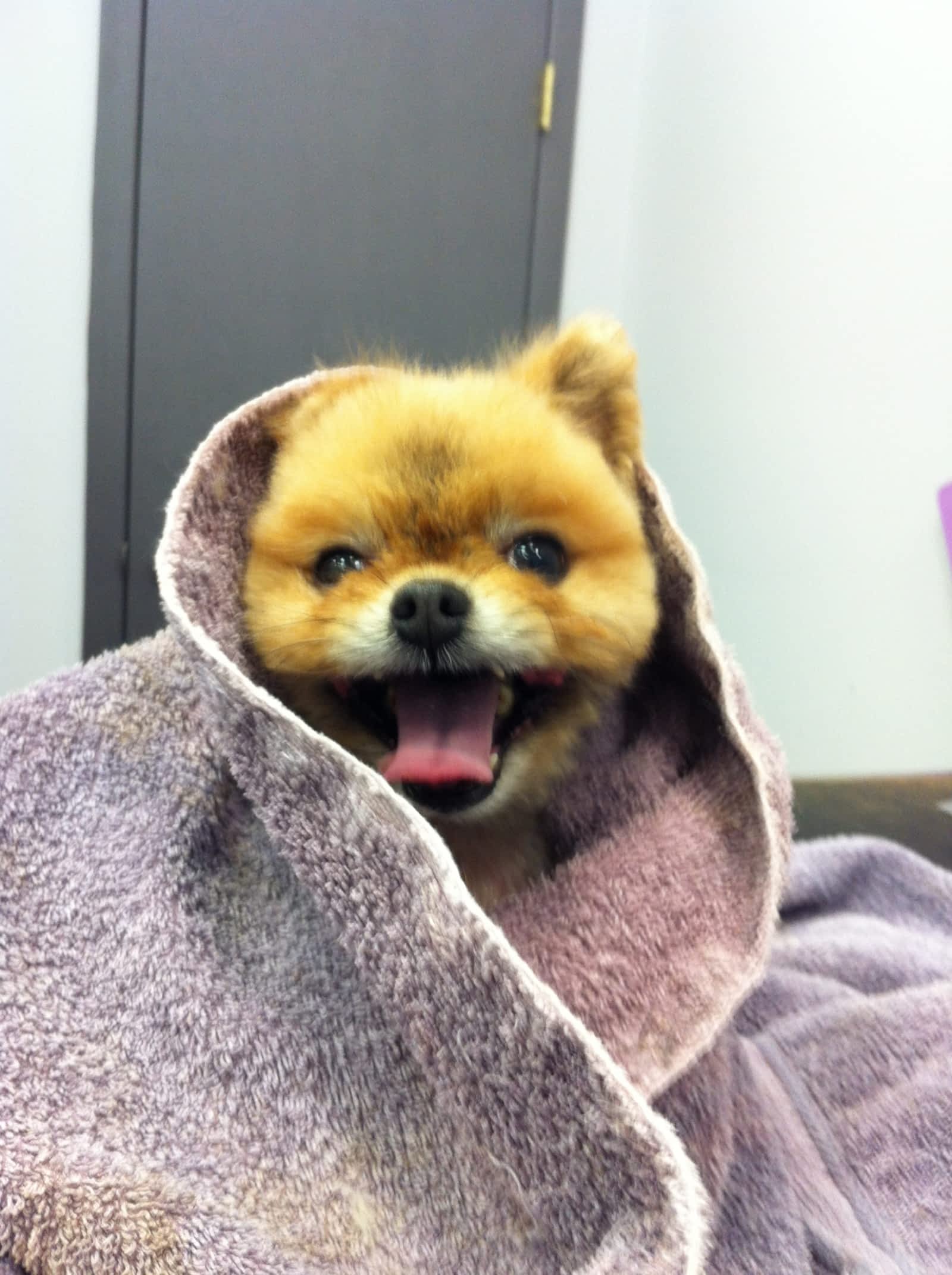 Photo credit: yellowpages.ca