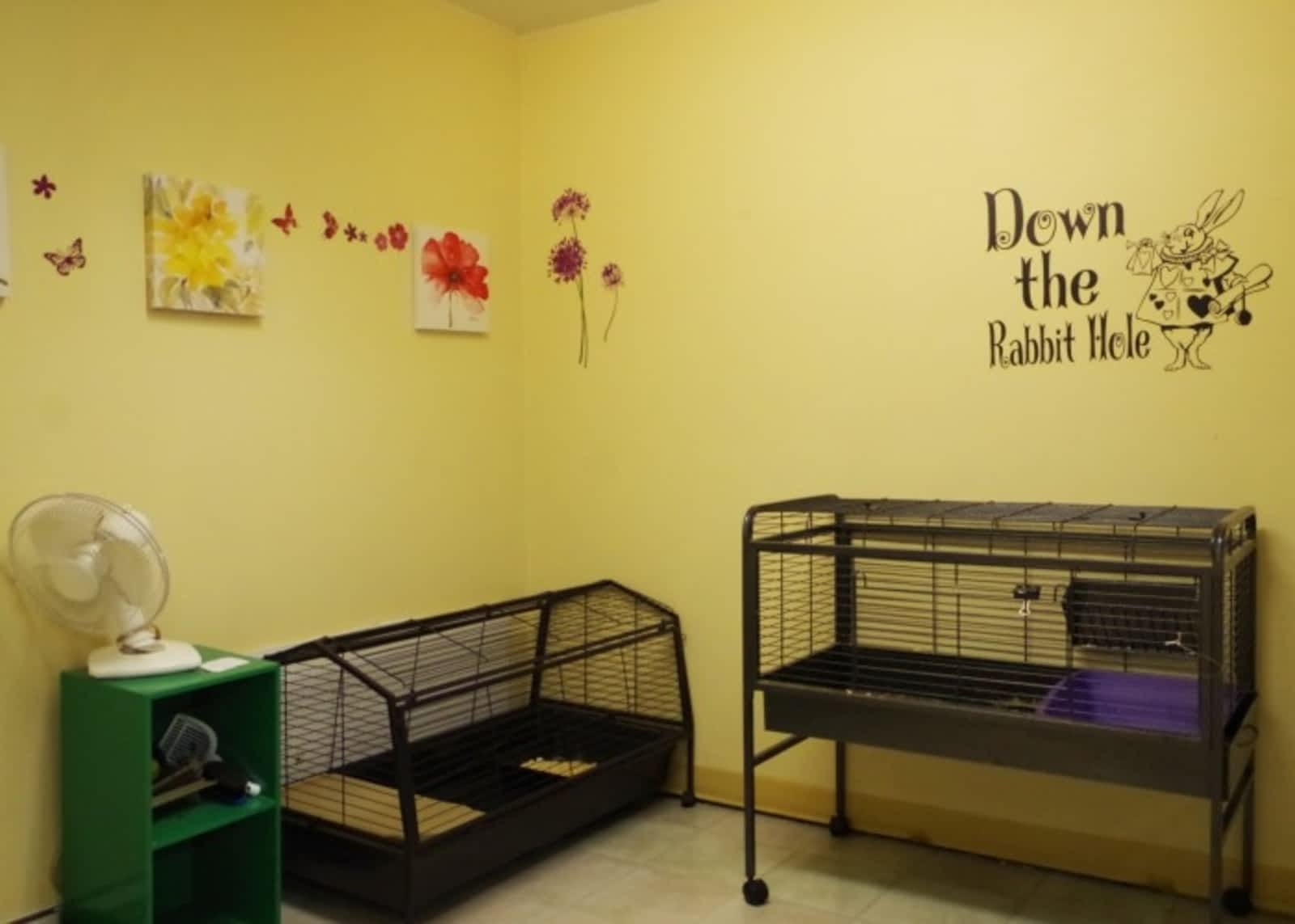 Photo credit: yellowpages.ca