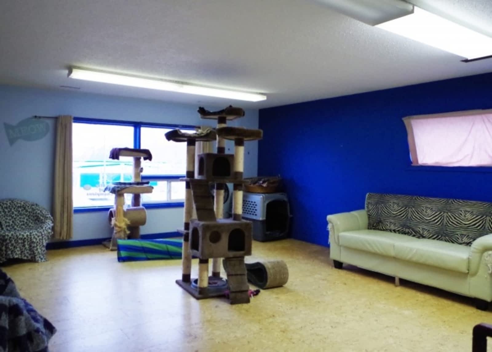 Photo credit: yellowpages.ca
