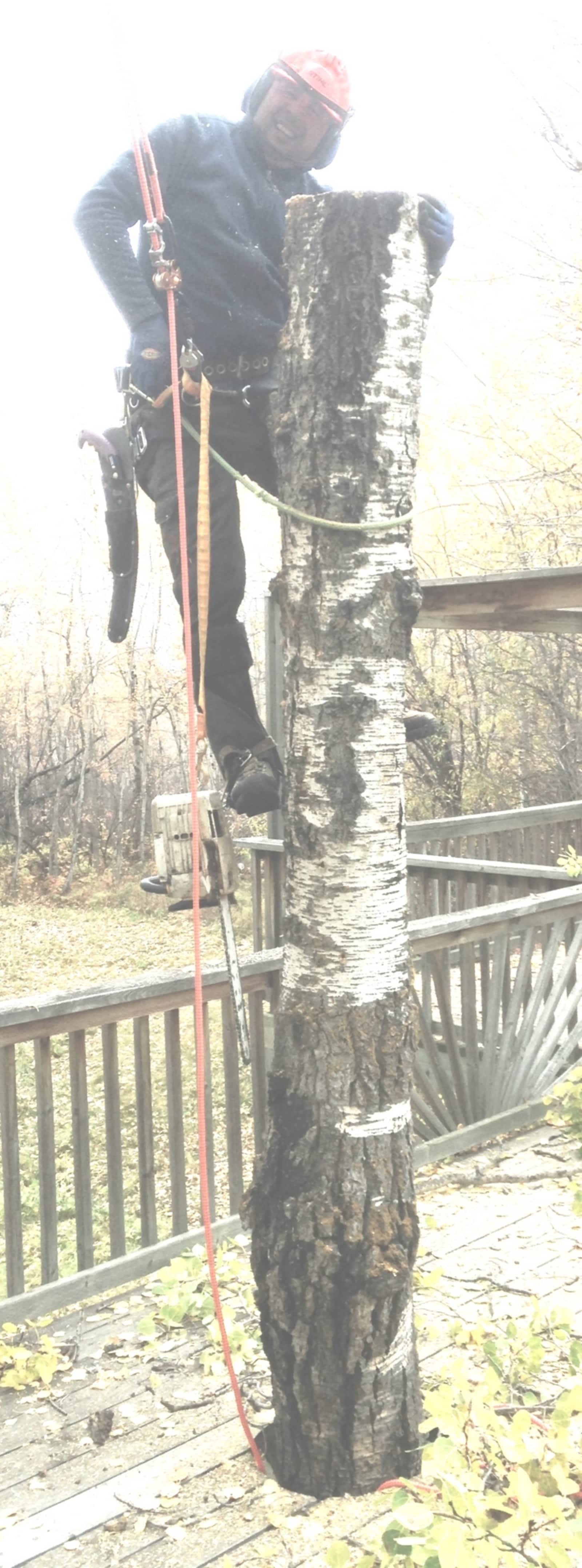 Photo credit: yellowpages.ca