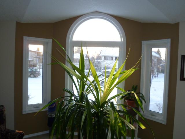 Photo credit: homestars