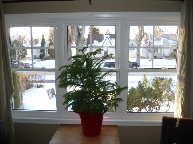 Photo credit: homestars