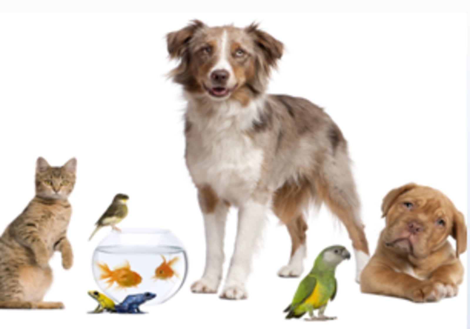 Photo credit: yellowpages.ca