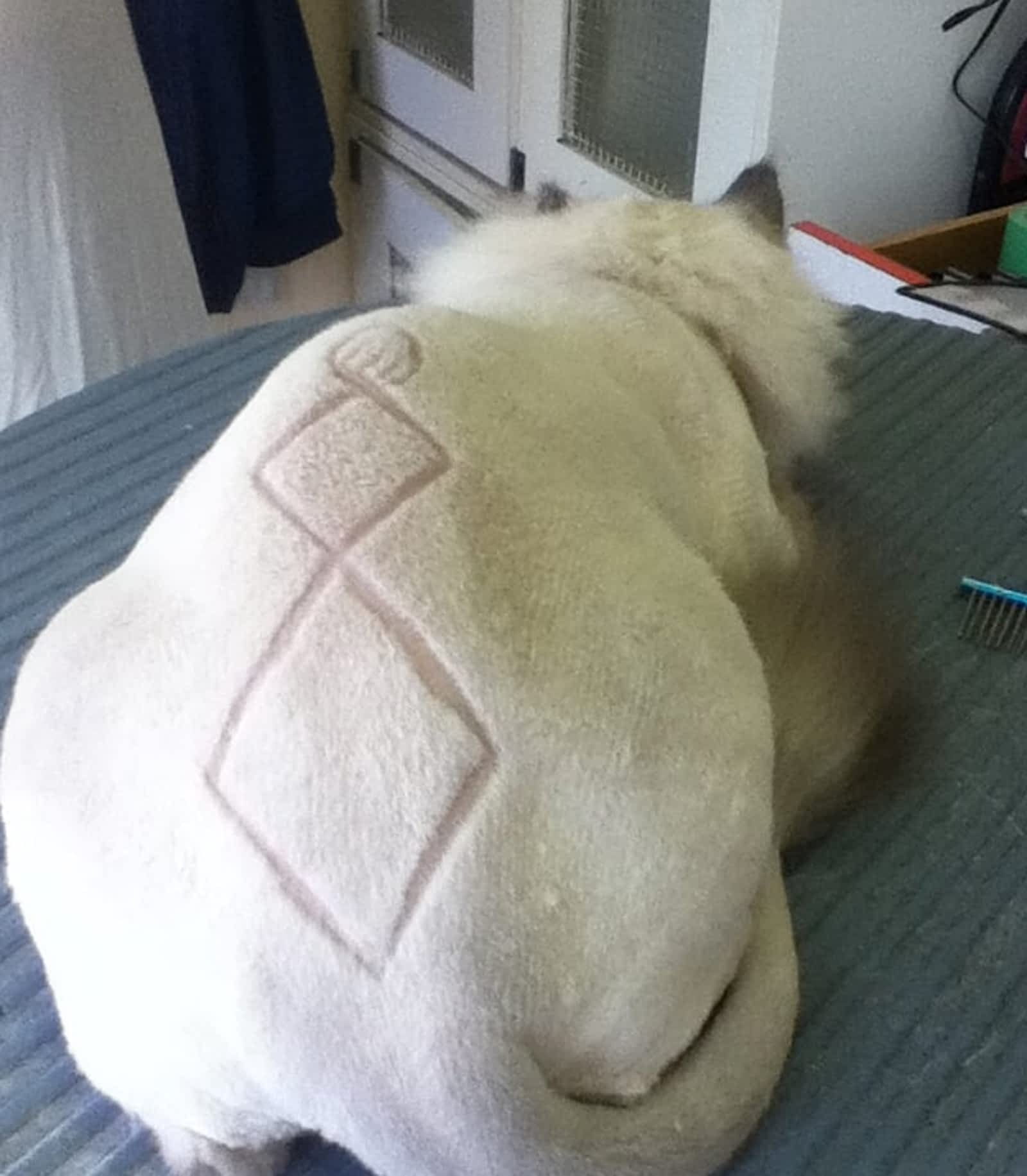 Photo credit: yellowpages.ca