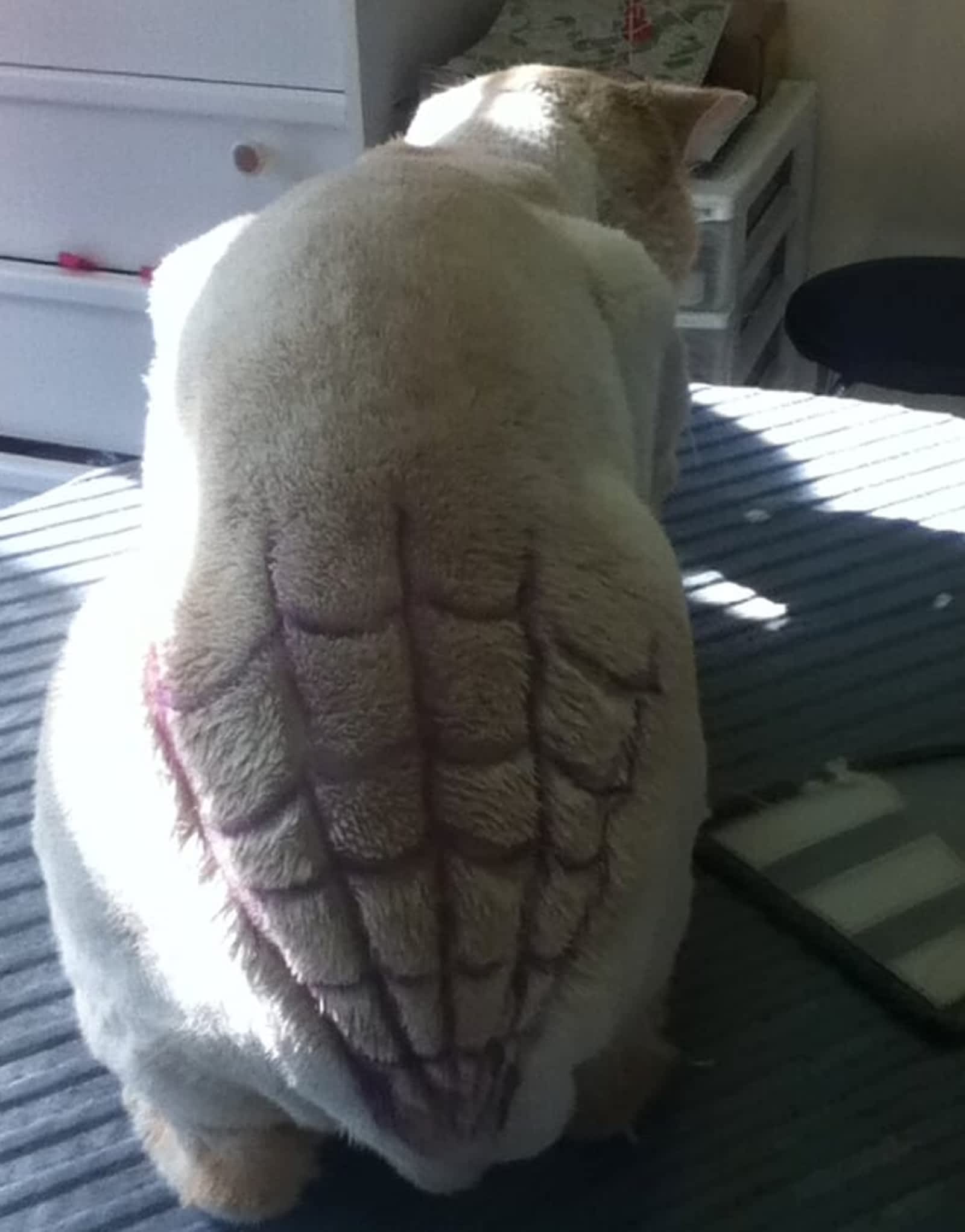 Photo credit: yellowpages.ca