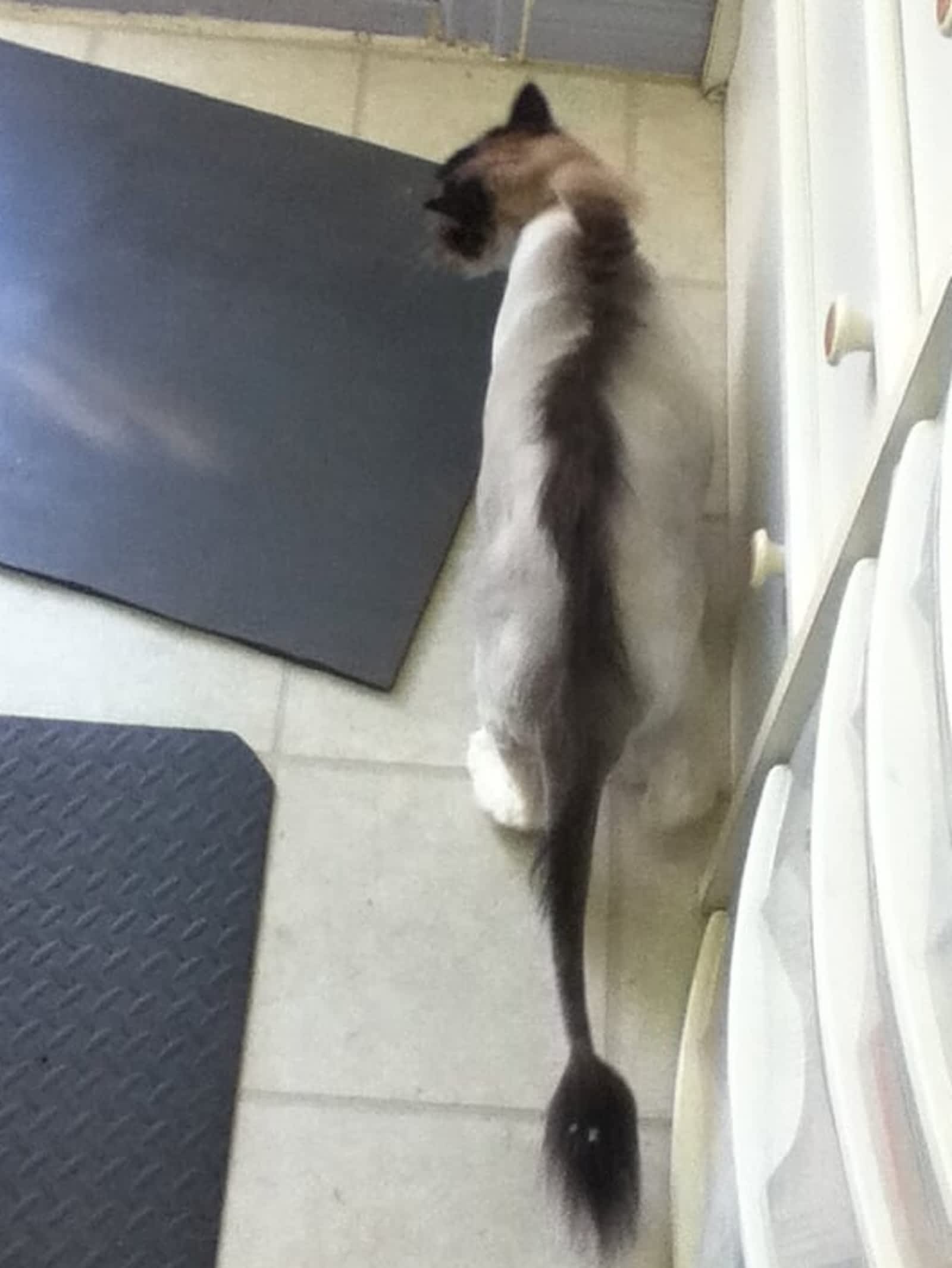 Photo credit: yellowpages.ca