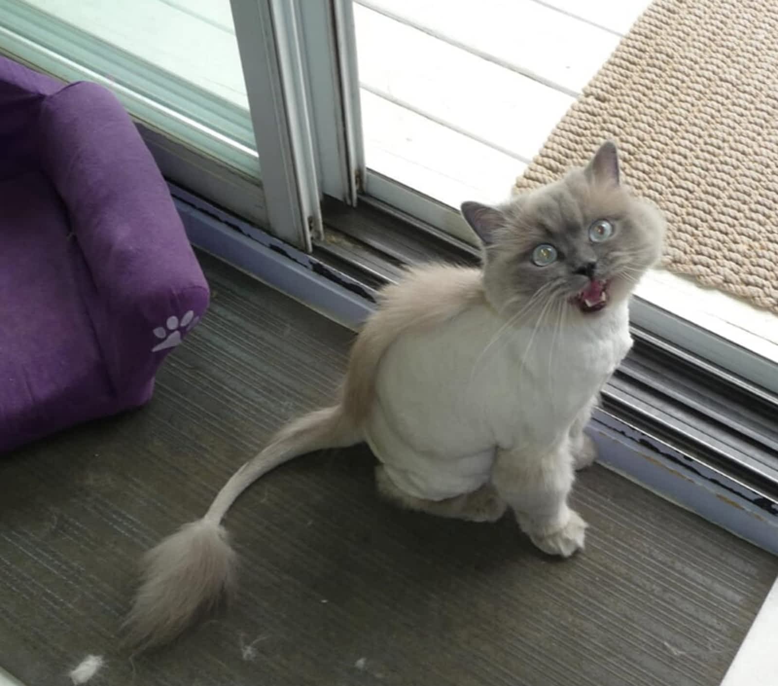 Photo credit: yellowpages.ca