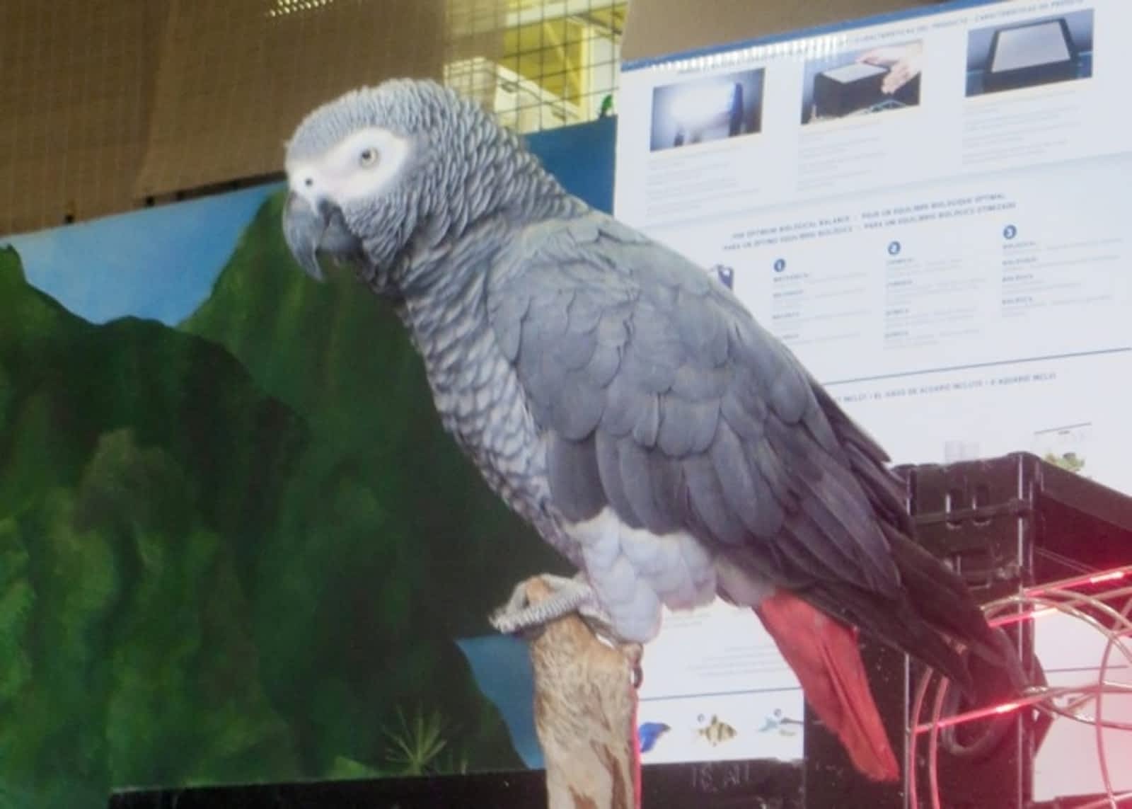 Photo credit: yellowpages.ca