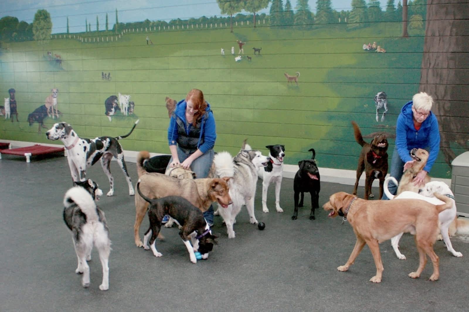 Photo credit: yellowpages.ca