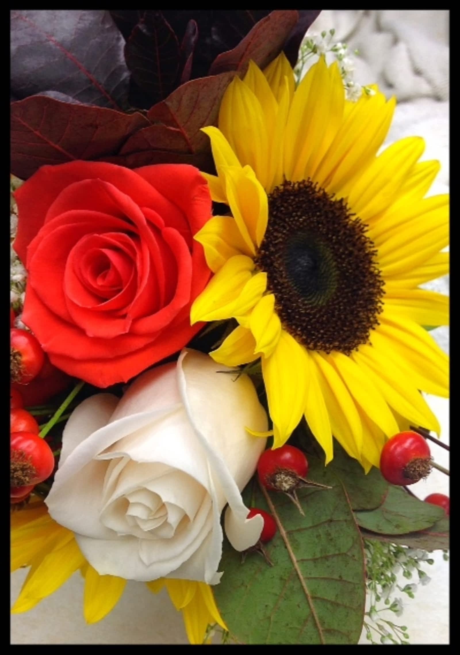 Photo credit: yellowpages.ca