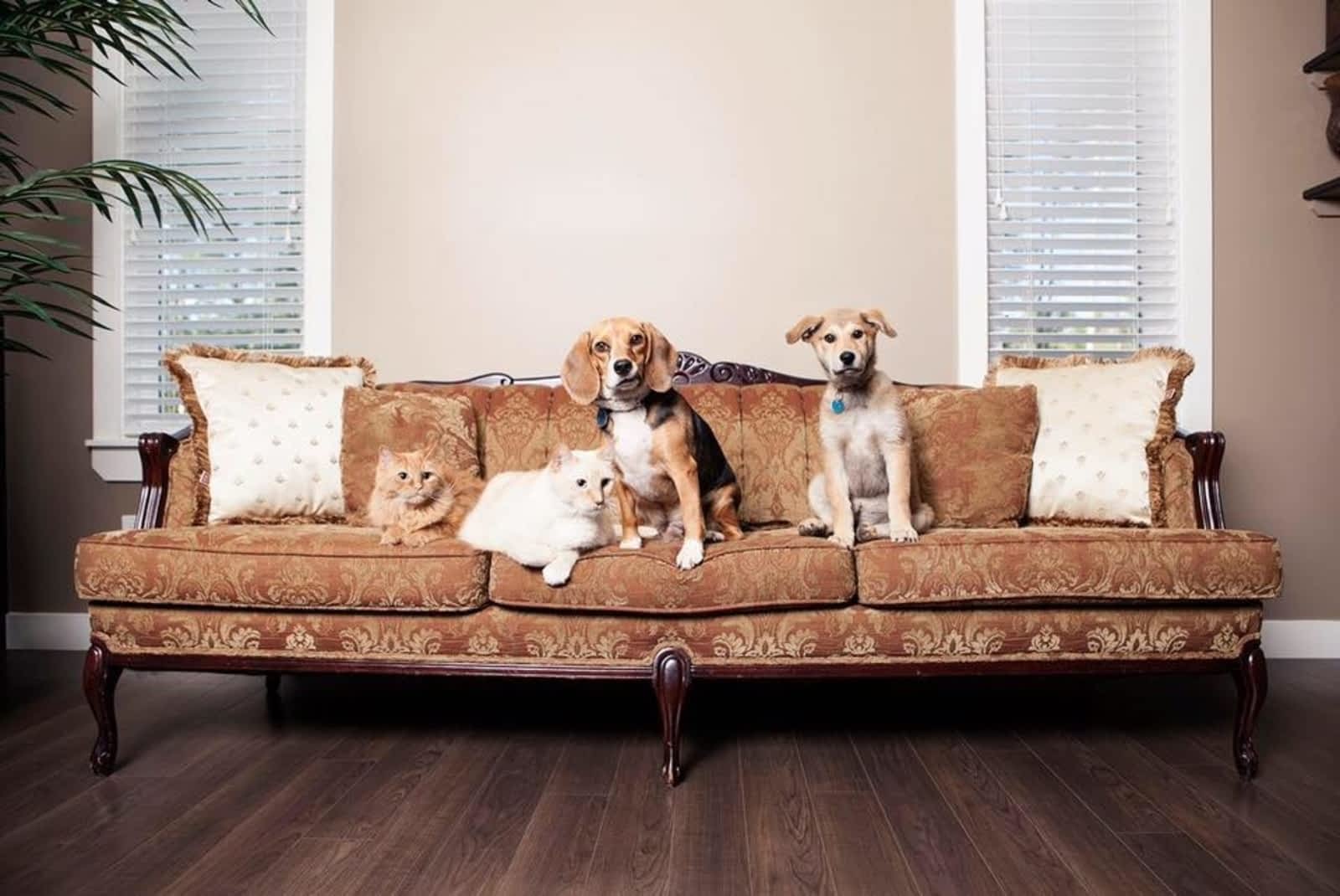 Photo credit: yellowpages.ca