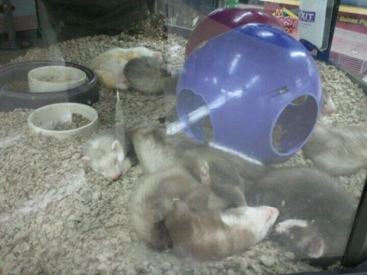 Photo credit: nextdoor