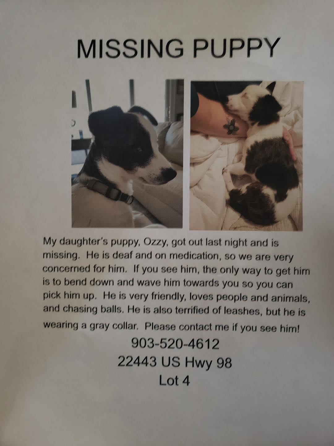 Photo credit: facebook