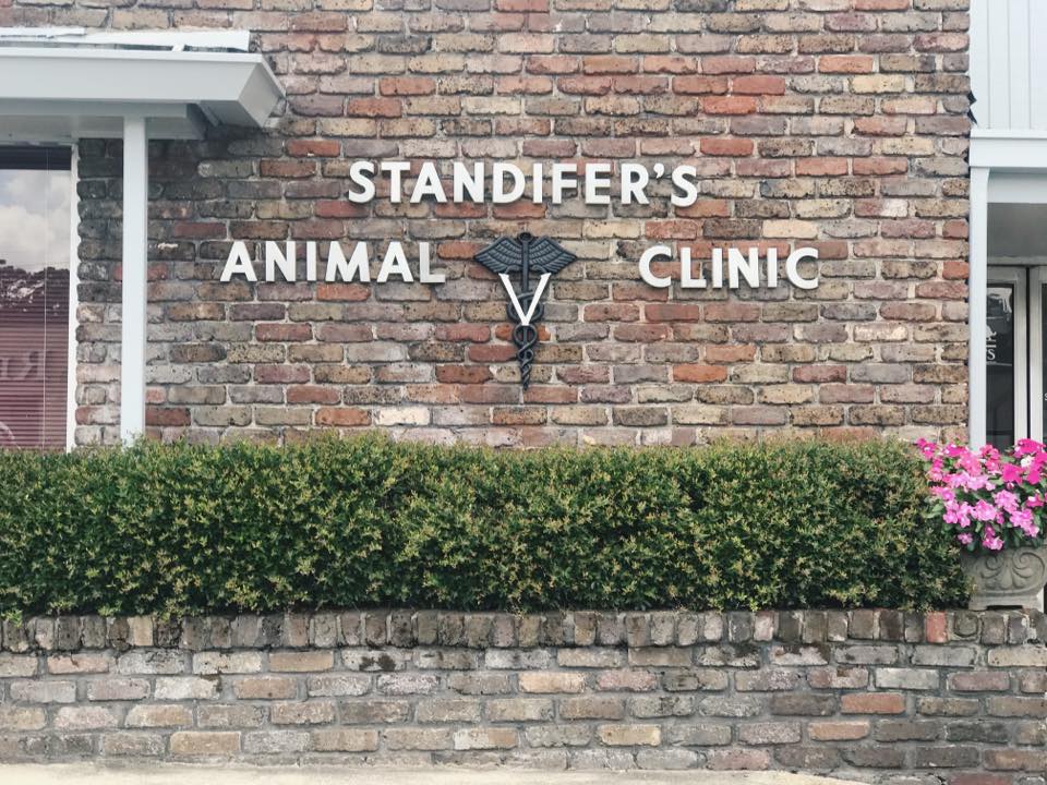 Standifer's Animal Clinic