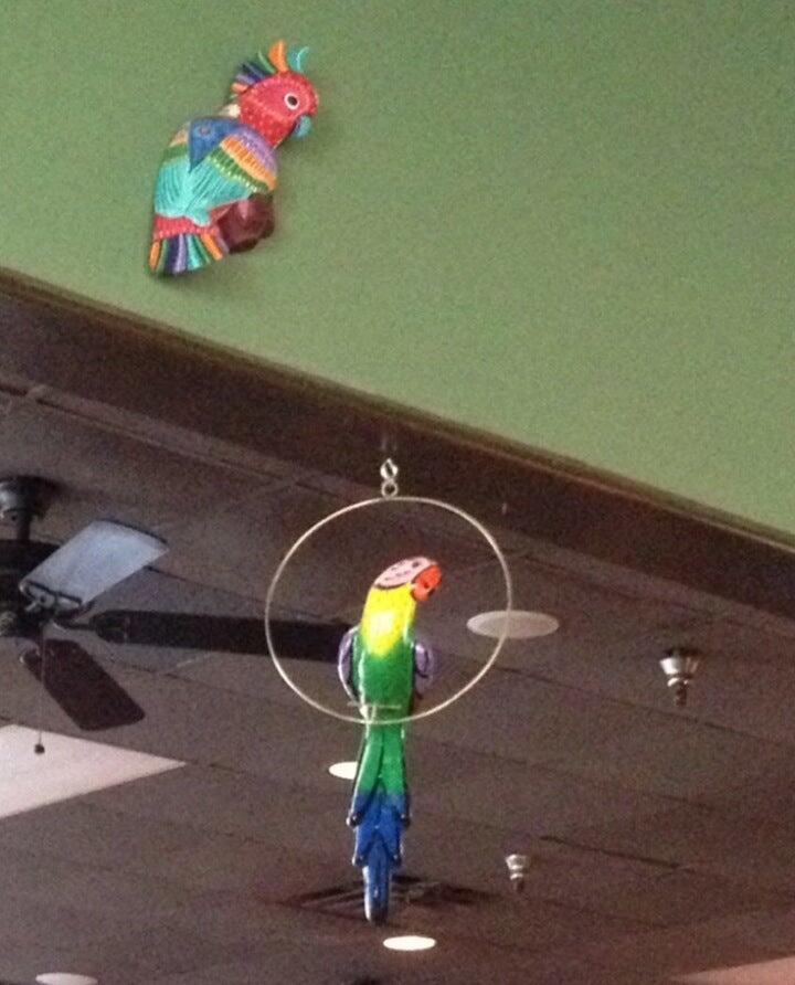 Photo credit: nextdoor