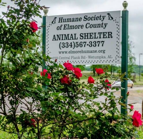 Humane Society of Elmore County