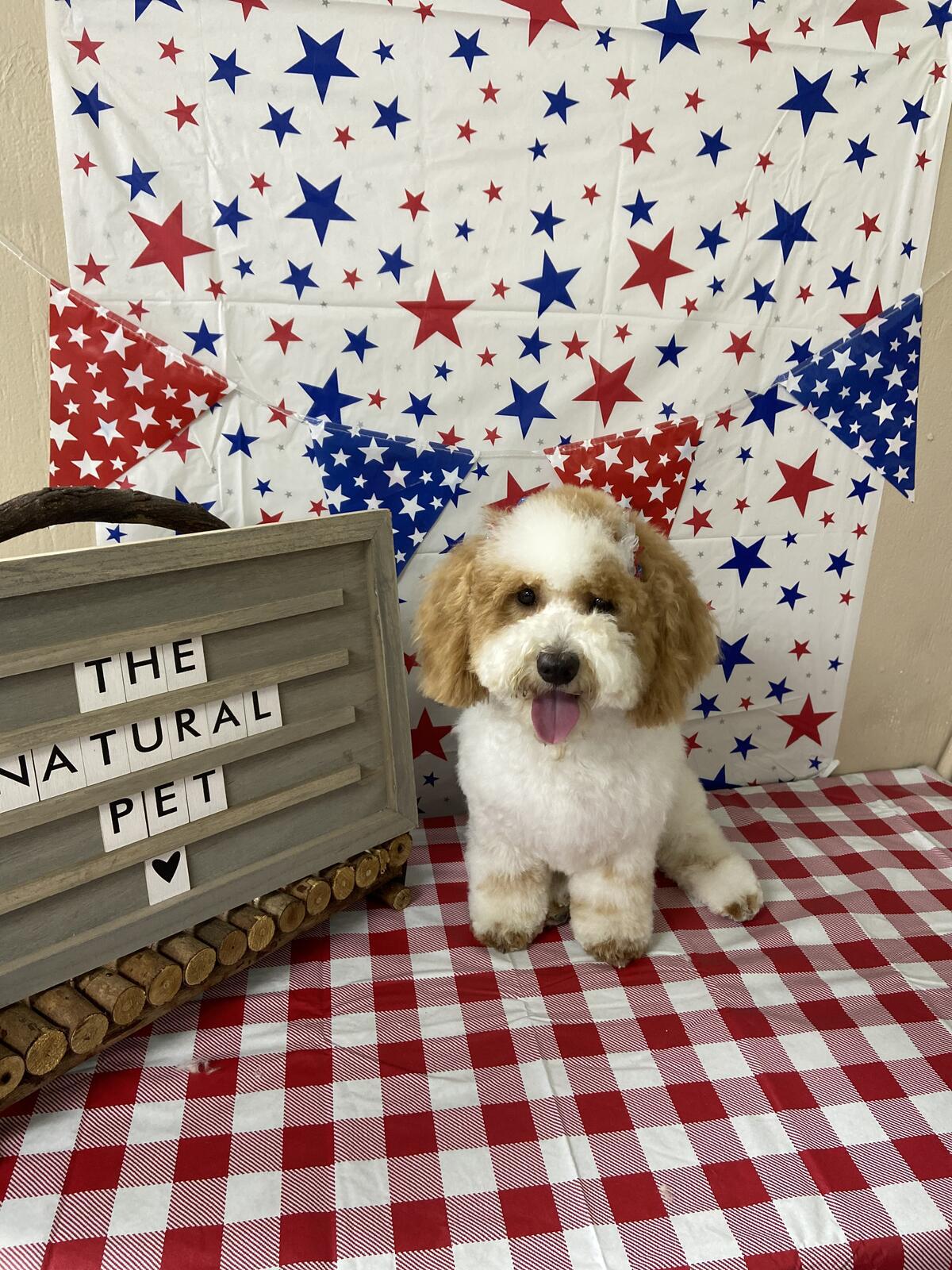 Photo credit: nextdoor