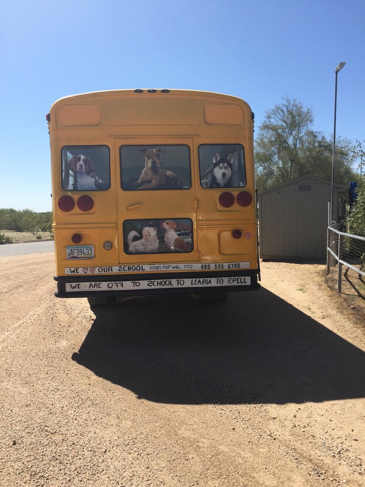 Photo credit: nextdoor