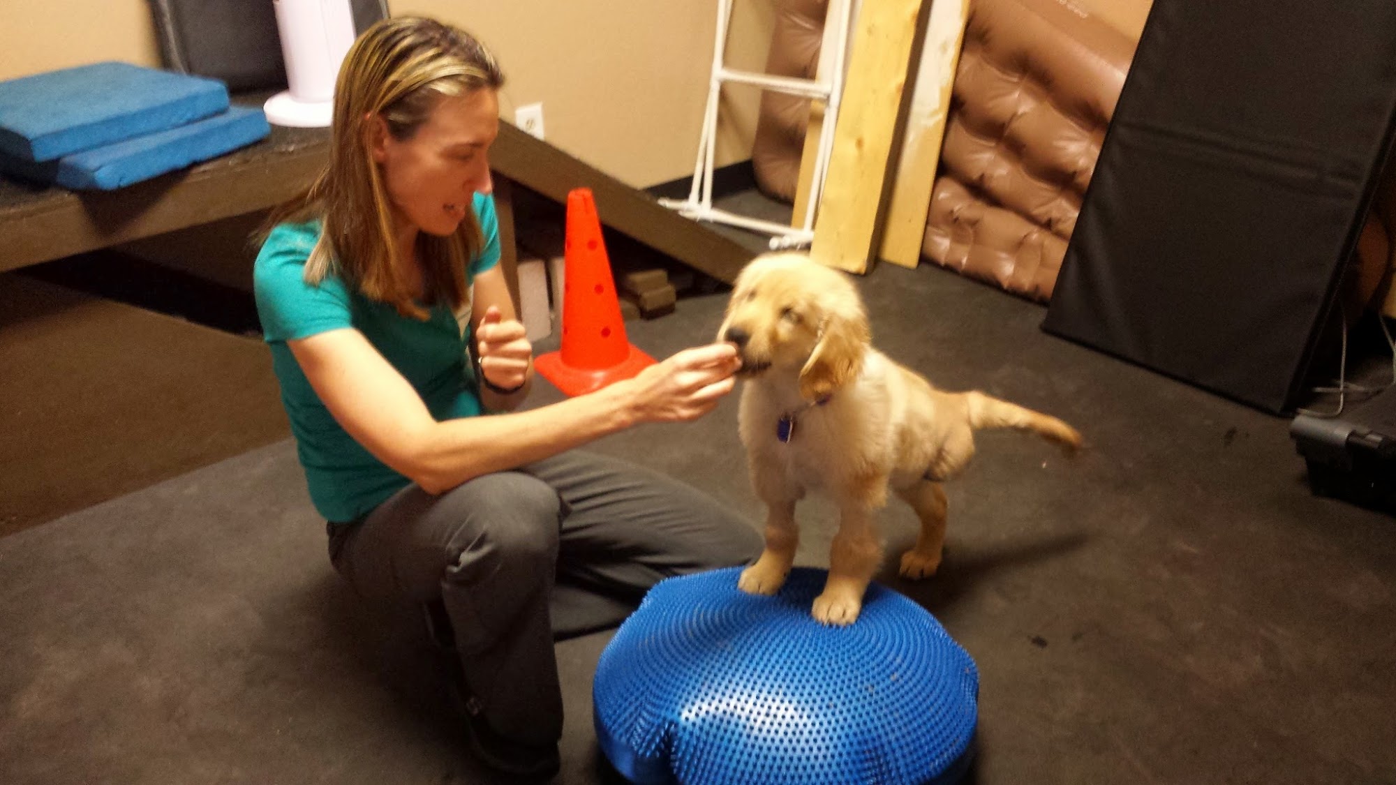 Arizona Veterinary Physical Rehabilitation