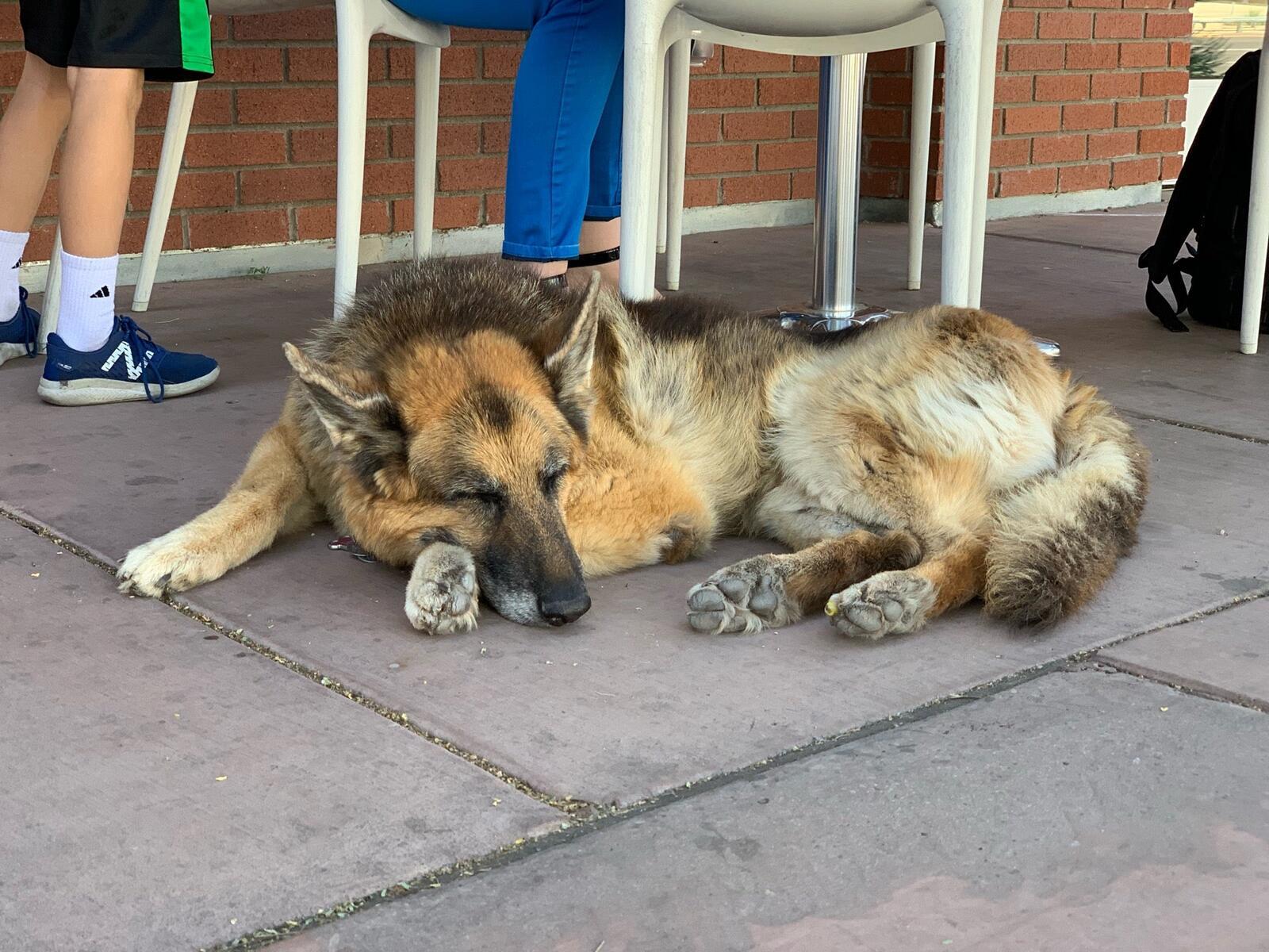 Photo credit: nextdoor