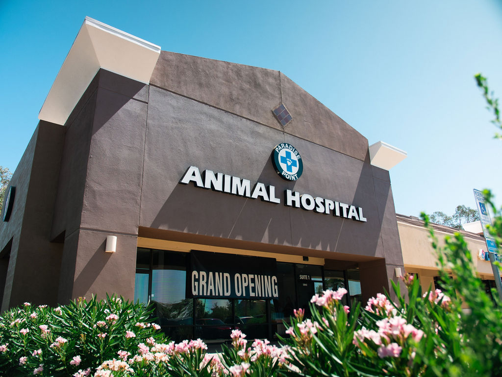 Paradise Point Animal Hospital with Veterinarians On-The-Go