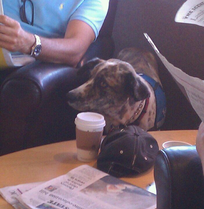 Photo credit: nextdoor
