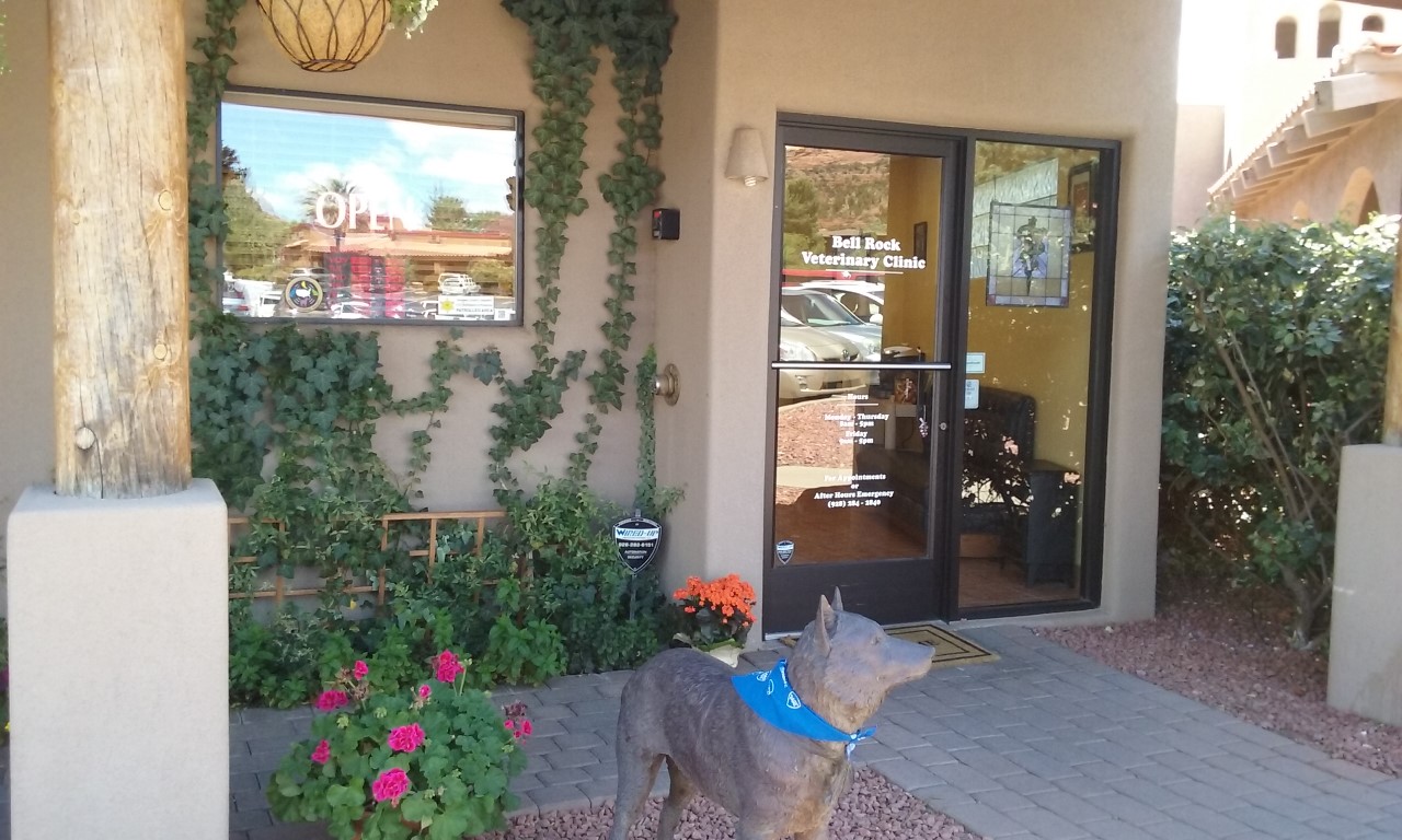 Bell Rock Veterinary Clinic