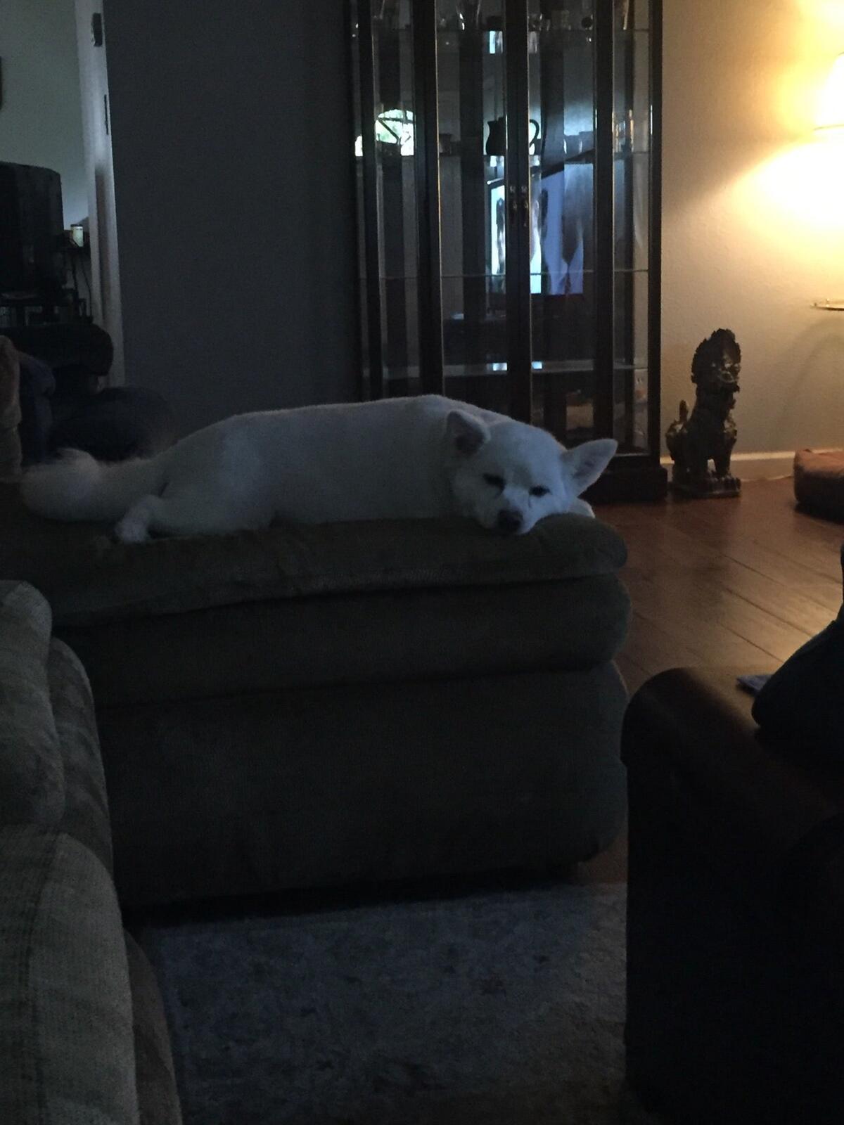 Photo credit: nextdoor